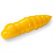 Pupa 1.5
